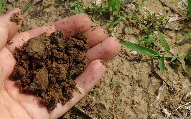 Addition of compost