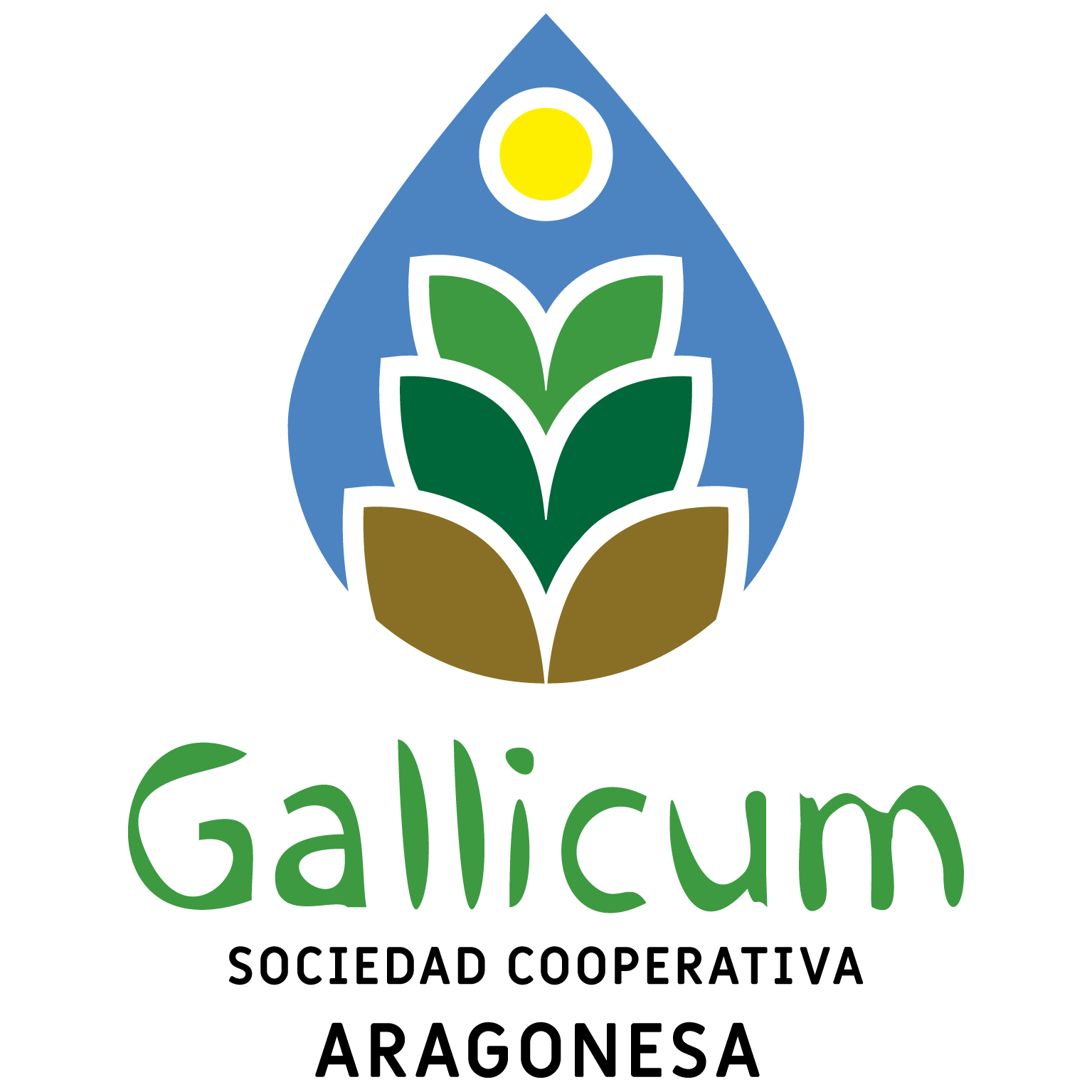 Gallicum