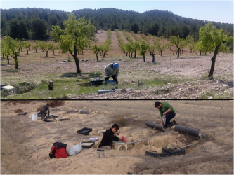 Research team in fields experiments