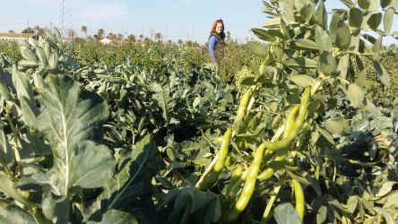 La investigadora Virginia Navarro en el campo de estudio